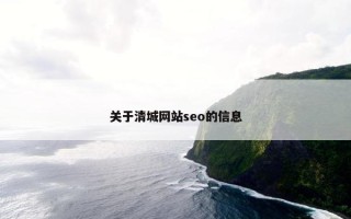 关于清城网站seo的信息