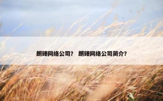 朗臻网络公司？ 朗臻网络公司简介？