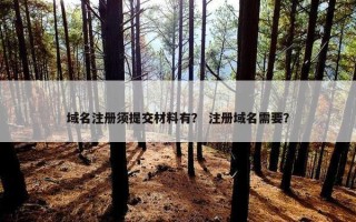 域名注册须提交材料有？ 注册域名需要？