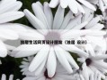 独居生活网页设计图案（独居 设计）