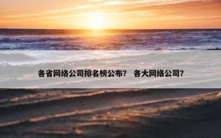 各省网络公司排名榜公布？ 各大网络公司？