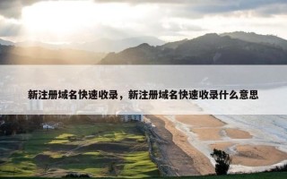 新注册域名快速收录，新注册域名快速收录什么意思