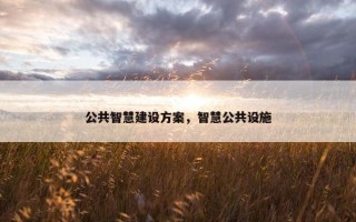 公共智慧建设方案，智慧公共设施