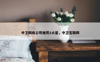 中卫网络公司推荐2火星，中卫互联网