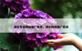 湖北专业网站推广推荐，湖北网络推广实训