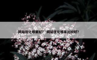 网站优化哪里好？ 网站优化哪家比较好？