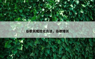 谷歌长尾优化方法，谷歌增长