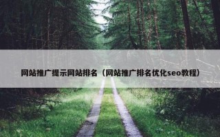 网站推广提示网站排名（网站推广排名优化seo教程）