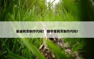 普通网页制作代码？ 初学者网页制作代码？