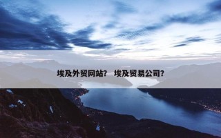 埃及外贸网站？ 埃及贸易公司？