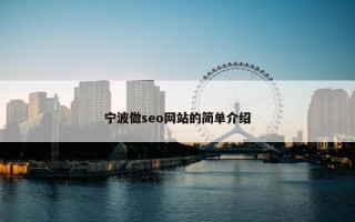 宁波做seo网站的简单介绍