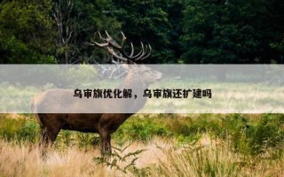 乌审旗优化解，乌审旗还扩建吗
