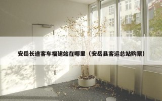安岳长途客车福建站在哪里（安岳县客运总站购票）