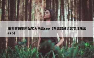 东莞营销型网站实力乐云seo（东莞网站运营专注乐云seo）