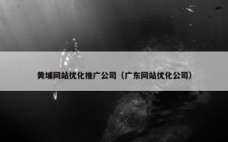 黄埔网站优化推广公司（广东网站优化公司）