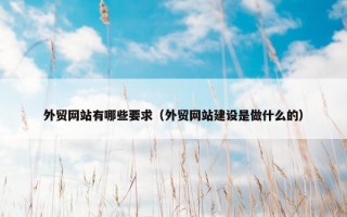 外贸网站有哪些要求（外贸网站建设是做什么的）