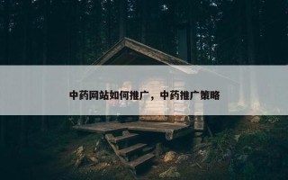 中药网站如何推广，中药推广策略