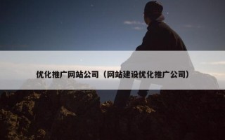 优化推广网站公司（网站建设优化推广公司）