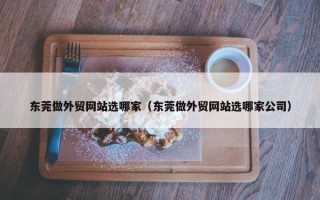 东莞做外贸网站选哪家（东莞做外贸网站选哪家公司）