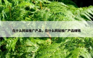 在什么网站推广产品，在什么网站推广产品赚钱