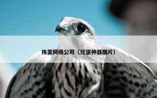 拣蛋网络公司（捡蛋神器图片）