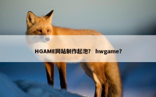 HGAME网站制作起泡？ hwgame？