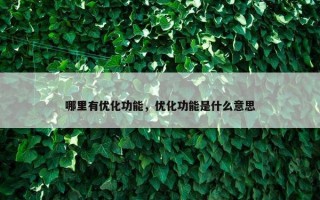 哪里有优化功能，优化功能是什么意思