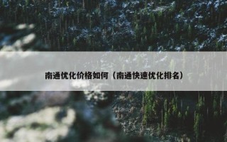 南通优化价格如何（南通快速优化排名）