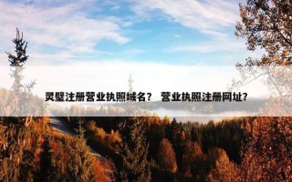 灵璧注册营业执照域名？ 营业执照注册网址？