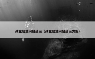 政企智慧网站建设（政企智慧网站建设方案）