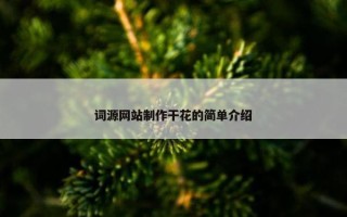 词源网站制作干花的简单介绍