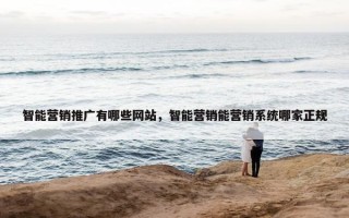 智能营销推广有哪些网站，智能营销能营销系统哪家正规
