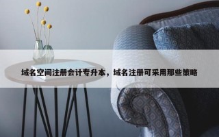 域名空间注册会计专升本，域名注册可采用那些策略