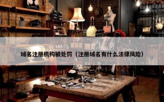 域名注册机构被处罚（注册域名有什么法律风险）