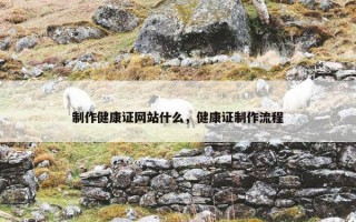 制作健康证网站什么，健康证制作流程