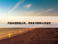 河南本地网络公司，河南实力网络公司推荐