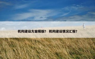 机构建设方案模版？ 机构建设情况汇报？