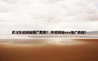 武汉外贸网站推广费用？ 外贸网站seo推广教程？