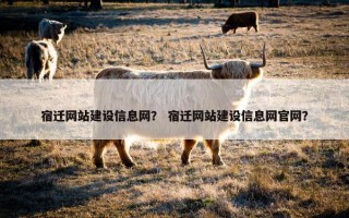 宿迁网站建设信息网？ 宿迁网站建设信息网官网？