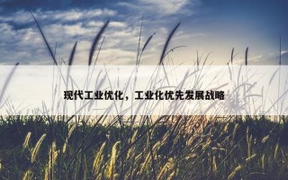 现代工业优化，工业化优先发展战略