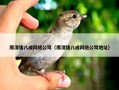 鹰潭猪八戒网络公司（鹰潭猪八戒网络公司地址）