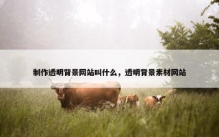 制作透明背景网站叫什么，透明背景素材网站