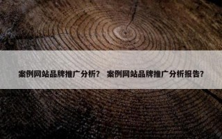 案例网站品牌推广分析？ 案例网站品牌推广分析报告？