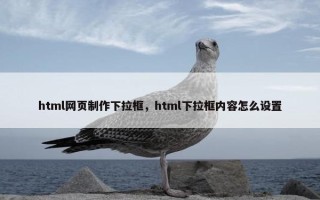 html网页制作下拉框，html下拉框内容怎么设置