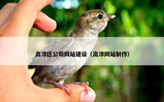 高淳区公司网站建设（高淳网站制作）