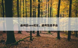 通州区seo优化，通州信息平台