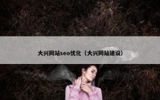 大兴网站seo优化（大兴网站建设）