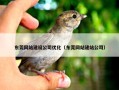 东莞网站建设公司优化（东莞网站建站公司）