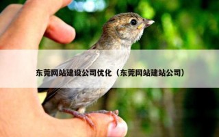 东莞网站建设公司优化（东莞网站建站公司）