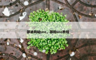 邵通网站seo，邵阳seo教程